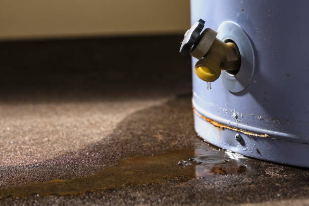 Best Commercial water damage restoration  in Commercial Point, OH