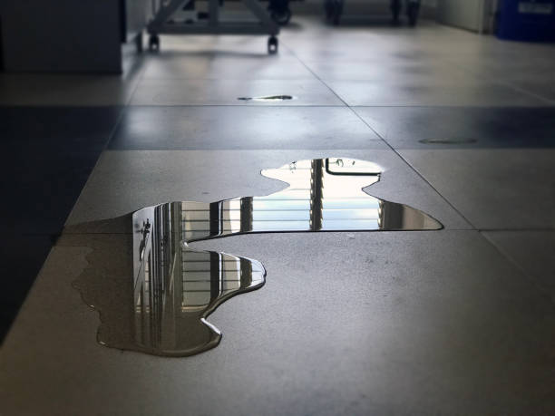 Best Water damage restoration cost  in Commercial Point, OH