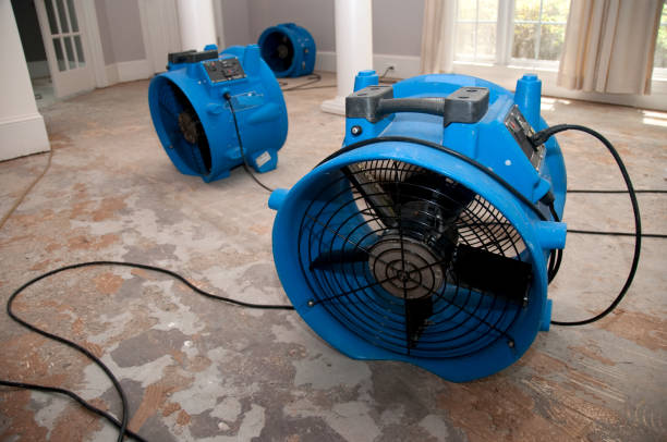 Best Sewage cleanup and water damage restoration  in Commercial Point, OH