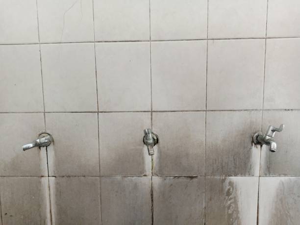 Best 24-hour water damage restoration  in Commercial Point, OH