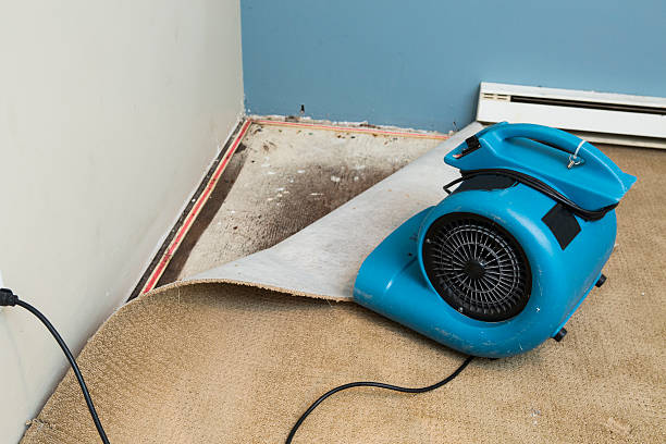 Best Emergency water damage restoration  in Commercial Point, OH